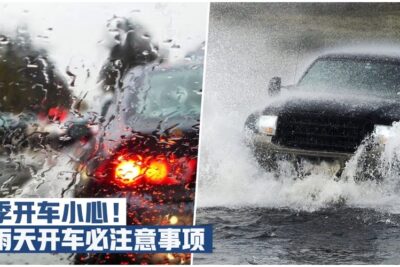 【天天下雨！】雨季开车千万要小心 · 经验老道的司机过招助你化险为夷！