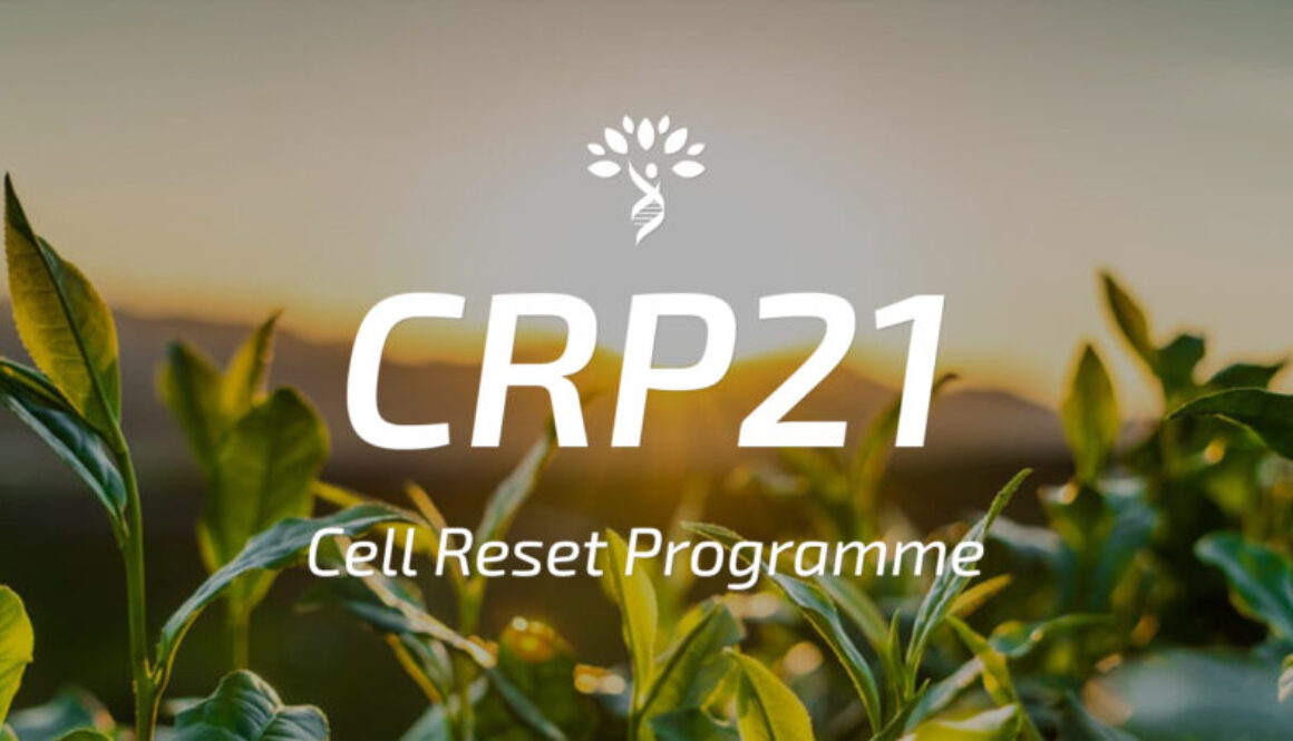 Cell Reset Program 21
