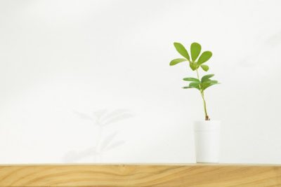 《簡約生活》