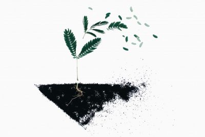 《珍惜生命》