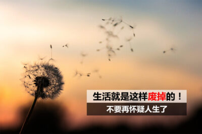 生活就是这样废掉的！